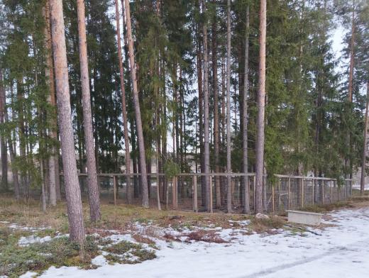 Hyväkuntoinen koiratarha